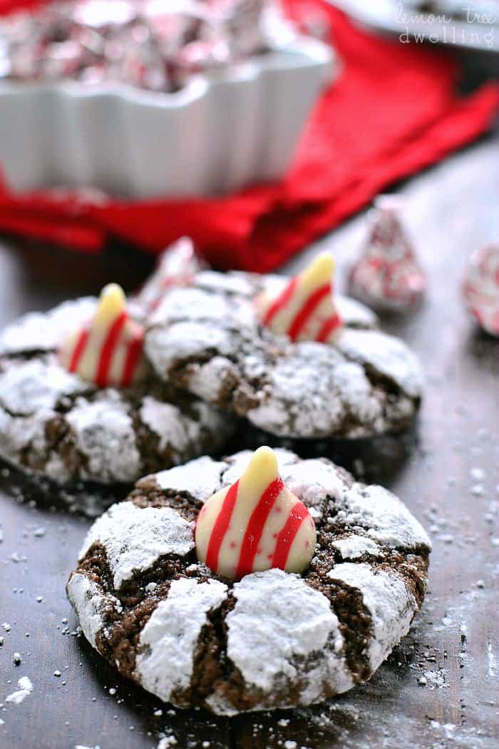 Chocolate peppermint blossoms
