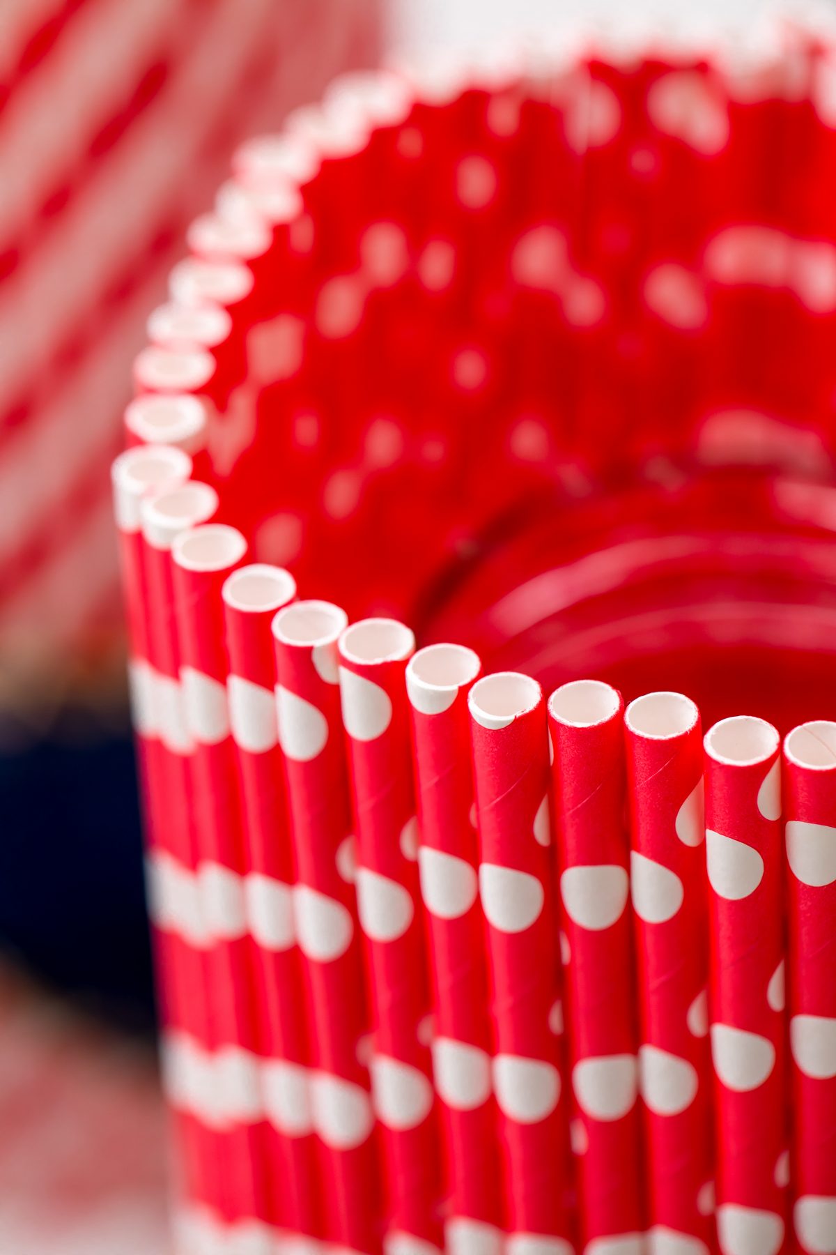 This Patriotic centerpiece will brighten up any table!